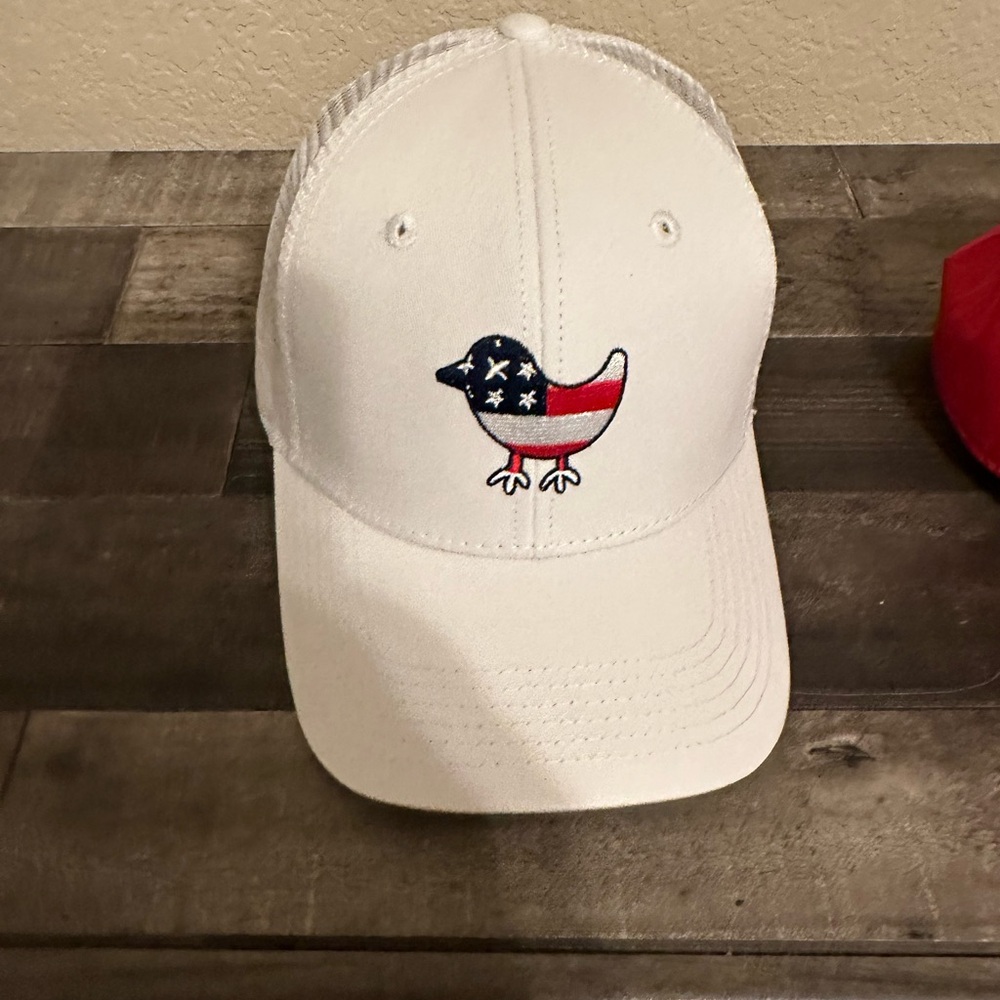 Bad birdie America hat